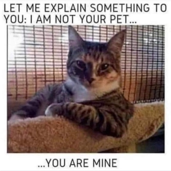 Meet your Posher, Cathy - Picture 5 of 8